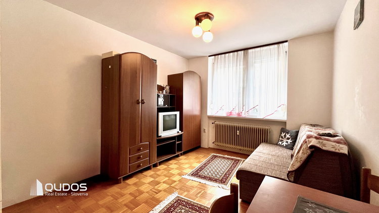 Lokacija: Ljubljana mesto, Bežigrad, Bežigrad