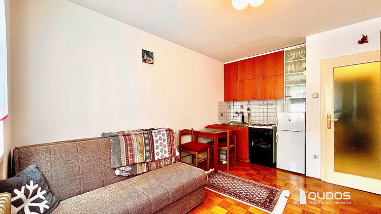 Lokacija: Ljubljana mesto, Bežigrad, Bežigrad