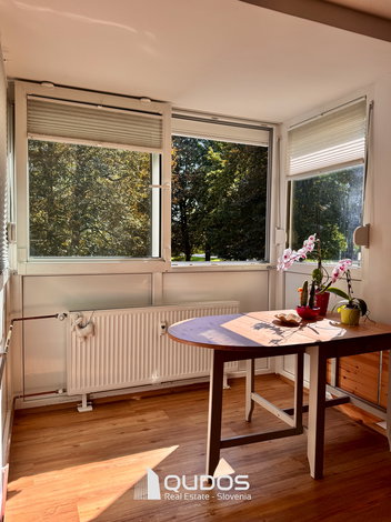 Lokacija: Gorenjska, Kranj, Kranj