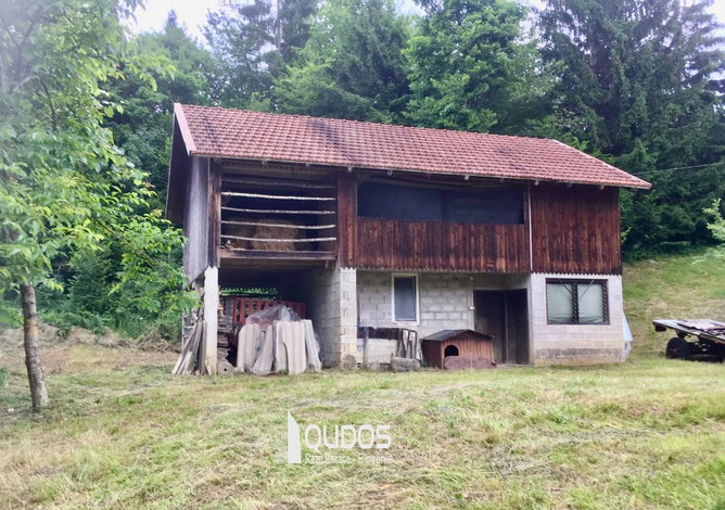 Lokacija: Jugovzhodna Slovenija, Loški Potok, Podplanina