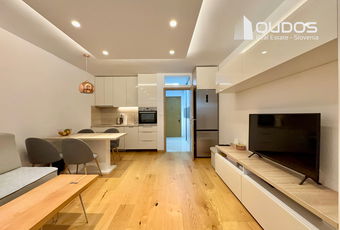 Lokacija: Ljubljana okolica, Kamnik, Kamnik