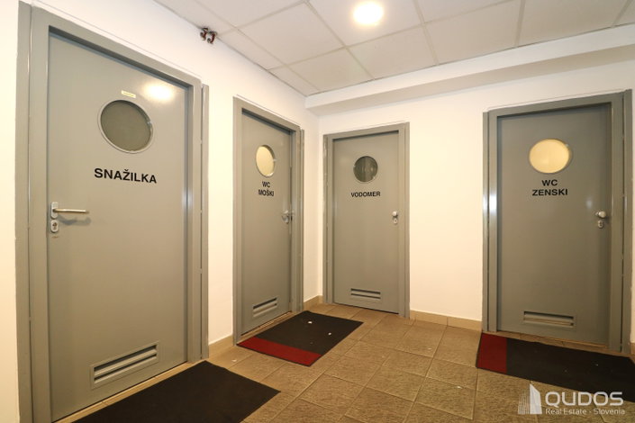 Lokacija: Ljubljana mesto, Bežigrad, Bežigrad