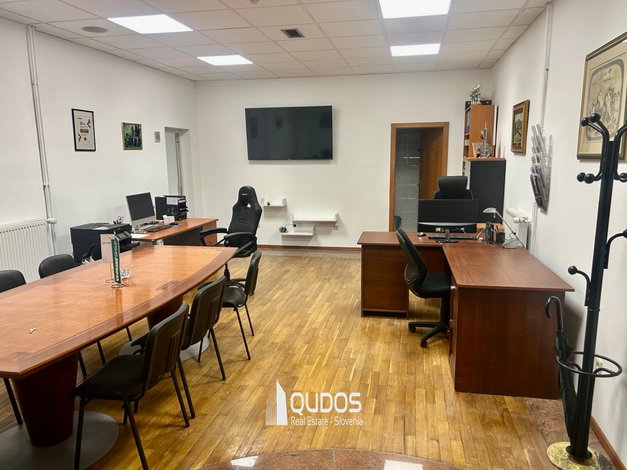 Lokacija: Ljubljana mesto, Bežigrad, Bežigrad