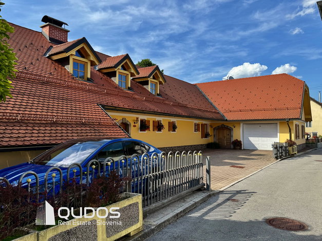 Lokacija: Ljubljana okolica, Mengeš, Mengeš