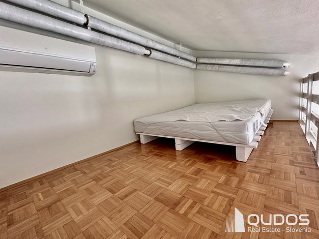 Lokacija: Ljubljana mesto, Vič-Rudnik, Trnovo