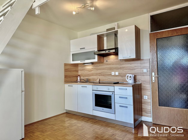 Lokacija: Ljubljana mesto, Vič-Rudnik, Trnovo