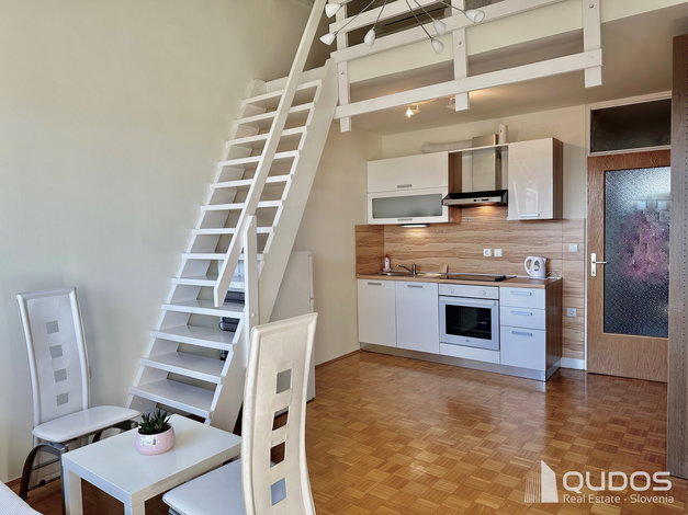 Lokacija: Ljubljana mesto, Vič-Rudnik, Trnovo