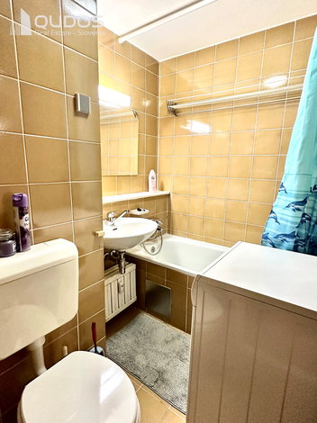 Lokacija: Ljubljana mesto, Vič-Rudnik, Trnovo