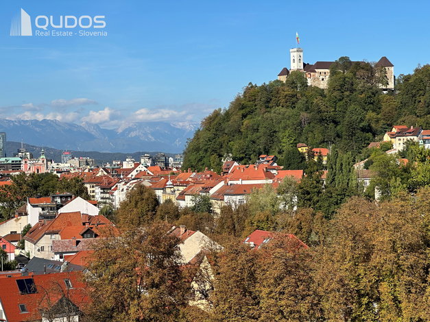 Lokacija: Ljubljana mesto, Vič-Rudnik, Trnovo