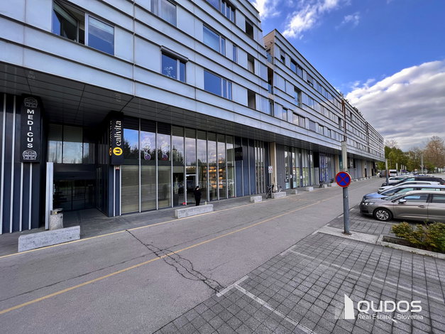 Lokacija: Ljubljana mesto, Vič-Rudnik, Trnovo