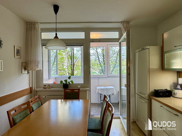 Lokacija: Ljubljana mesto, Moste-Polje, Štepanjsko naselje