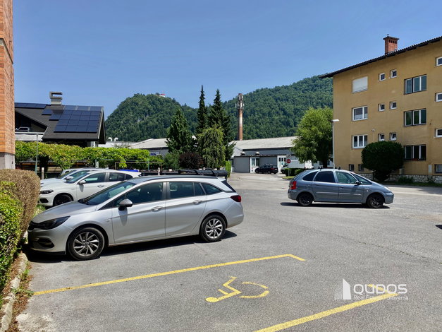 Lokacija: Ljubljana okolica, Kamnik
