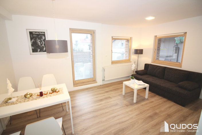 Lokacija: Ljubljana mesto, Moste-Polje, Kodeljevo