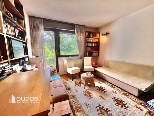 Lokacija: Ljubljana mesto, Moste-Polje, Štepanja vas