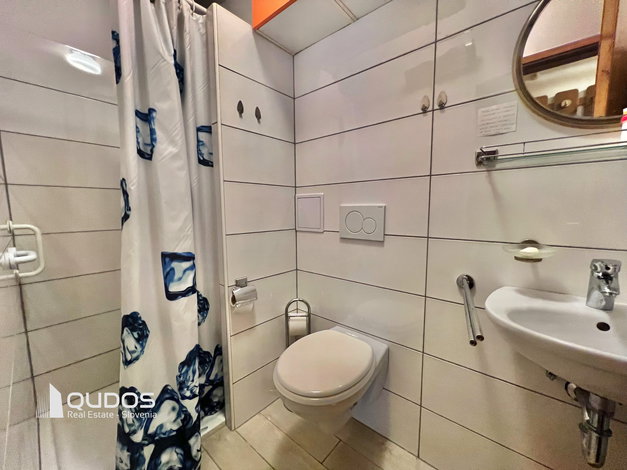 Lokacija: Ljubljana mesto, Moste-Polje, Štepanja vas