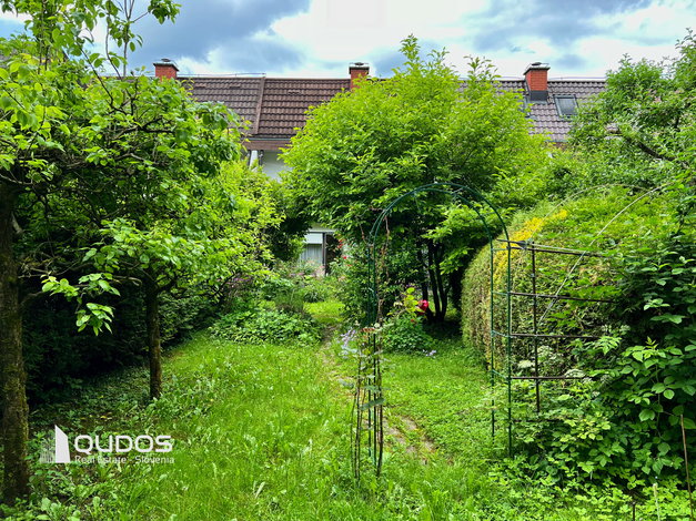 Lokacija: Ljubljana mesto, Moste-Polje, Štepanja vas