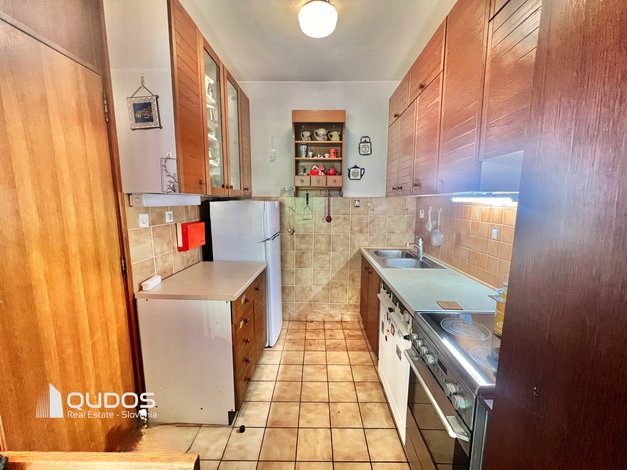 Lokacija: Ljubljana mesto, Moste-Polje, Štepanja vas