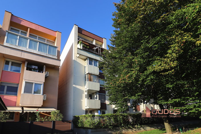 Lokacija: Ljubljana mesto, Bežigrad