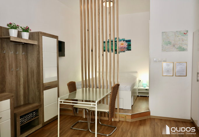 Lokacija: Ljubljana mesto, Center, Tabor