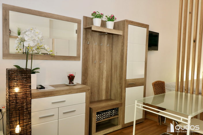 Lokacija: Ljubljana mesto, Center, Tabor