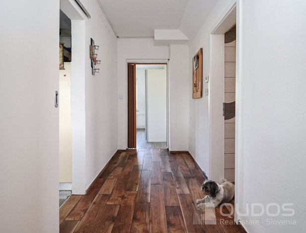 Location: Ljubljana okolica, Logatec, Logatec