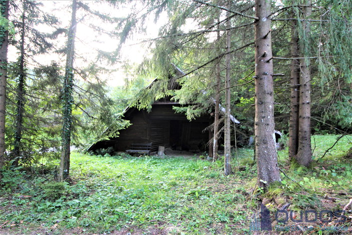 Lokacija: Ljubljana okolica, Brezovica, Rakitna