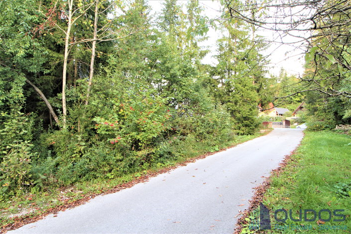 Lokacija: Ljubljana okolica, Brezovica, Rakitna