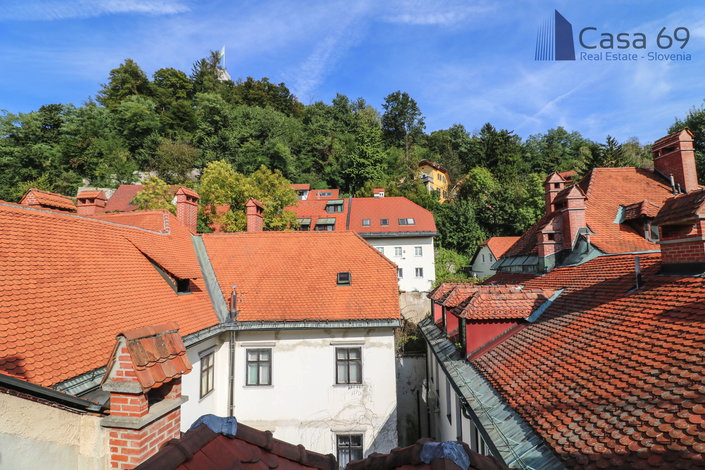 Lokacija: Ljubljana mesto, Center