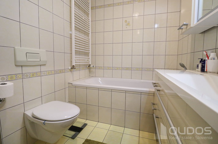 Location: Ljubljana mesto, Šiška, Šentvid