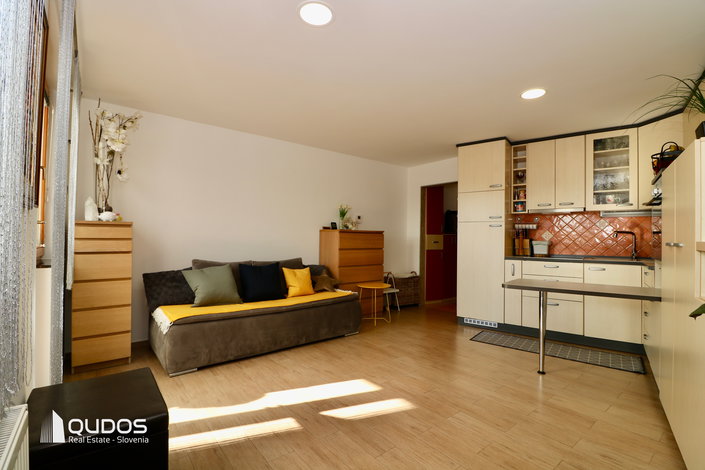 Lokacija: Ljubljana okolica, Vodice