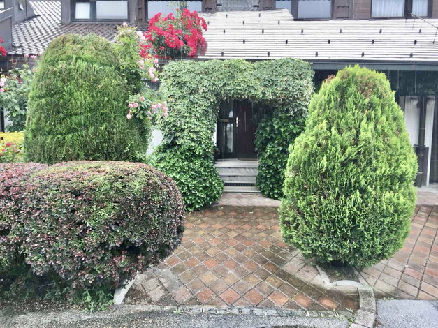 Lokacija: Ljubljana mesto, Moste-Polje, Štepanja vas