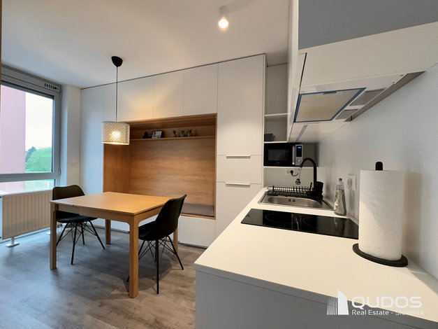 Lokacija: Ljubljana mesto, Vič-Rudnik, Vič