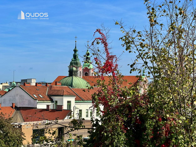 Lokacija: Ljubljana mesto, Center, Center