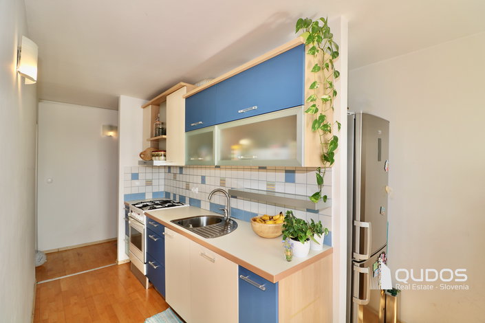 Lokacija: Ljubljana mesto, Šiška, Zg. Šiška