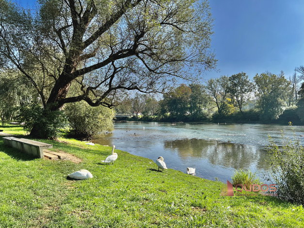 Lokacija: Ljubljana mesto, Moste-Polje, Fužine