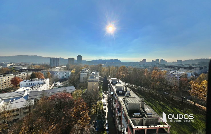 Lokacija: Ljubljana mesto, Bežigrad, Savsko naselje