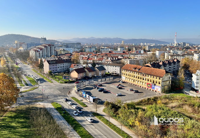 Lokacija: Ljubljana mesto, Bežigrad, Savsko naselje