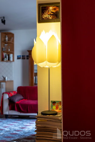 Location: Ljubljana okolica, Trzin, Trzin