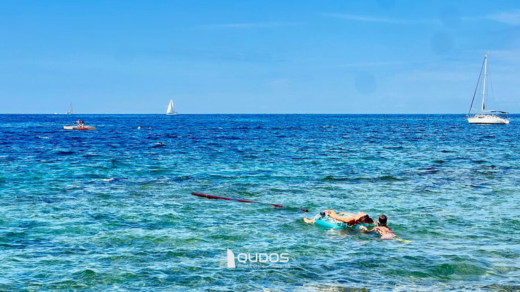 Lokacija: Hrvaška, Istarska županija, Umag, Đuba