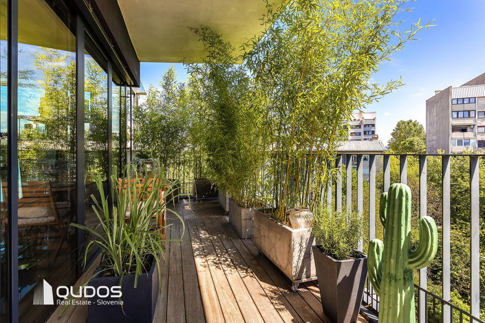 Lokacija: Ljubljana mesto, Vič-Rudnik, Vič