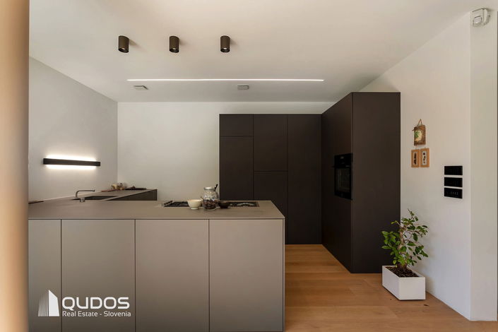 Lokacija: Ljubljana mesto, Vič-Rudnik, Trnovo