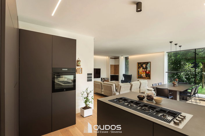 Lokacija: Ljubljana mesto, Vič-Rudnik, Trnovo