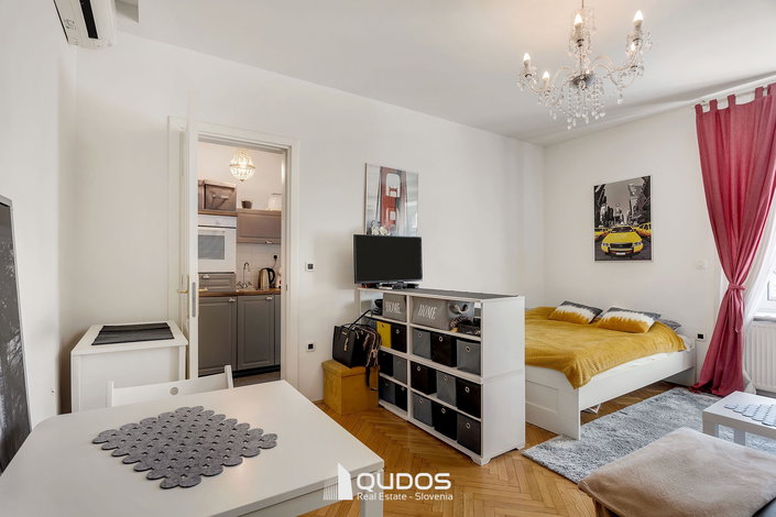 Lokacija: Ljubljana mesto, Center, Center