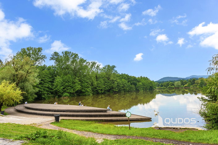 Lokacija: Ljubljana mesto, Šiška, Koseze