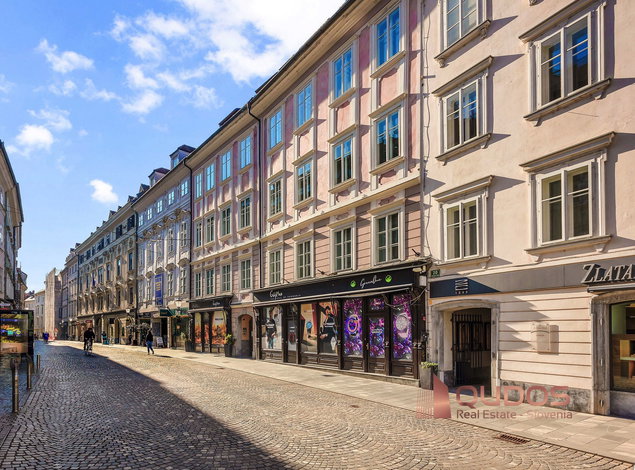 Lokacija: Ljubljana mesto, Center, Stara Ljubljana