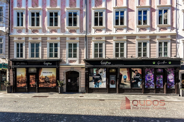 Lokacija: Ljubljana mesto, Center, Stara Ljubljana