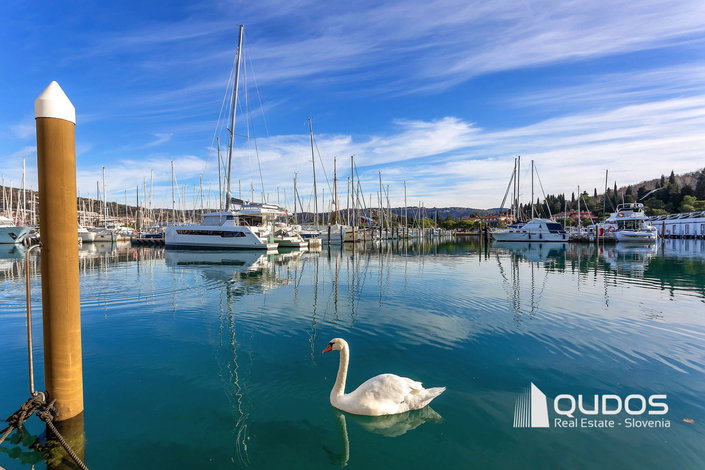 Lokacija: Obalno - kraška, Piran, Portorož