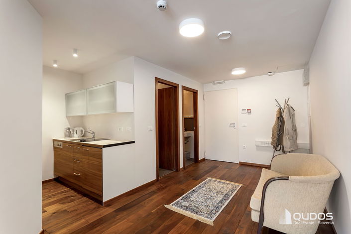 Lokacija: Ljubljana mesto, Vič-Rudnik, Rudnik