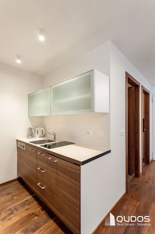 Lokacija: Ljubljana mesto, Vič-Rudnik, Rudnik