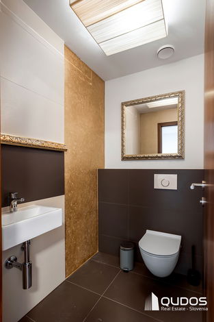 Lokacija: Ljubljana mesto, Vič-Rudnik, Rudnik